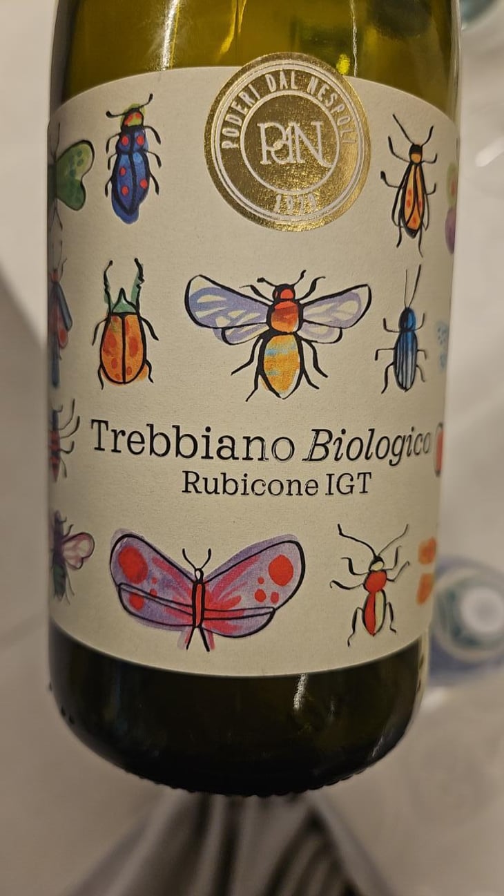 Trebbiano Biologico - Rubicone IGT - Famiglia Ravaioli -2022
