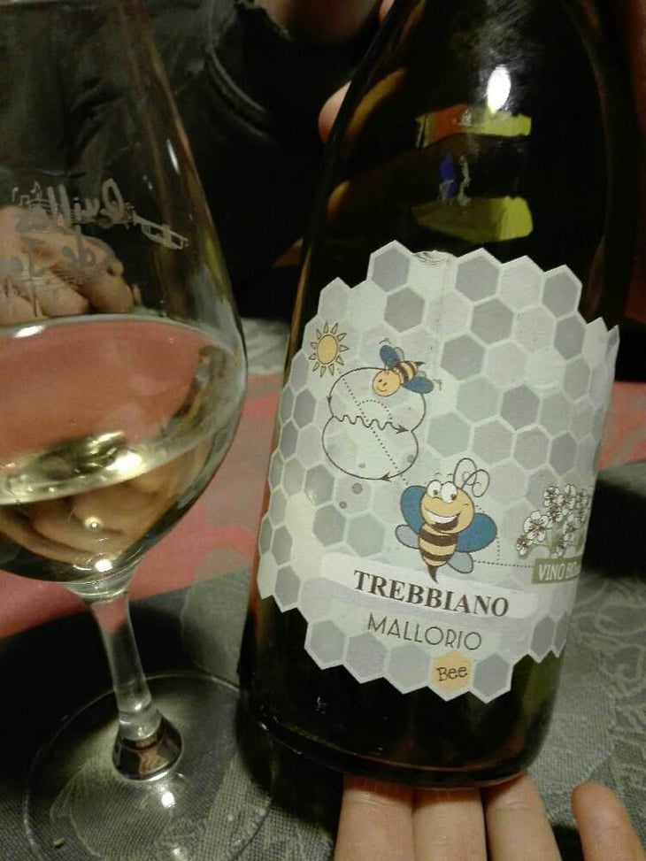 Trebbiano D Abruzzo - Societa Vinicola ORSOGNA - Cantina Orsogna 