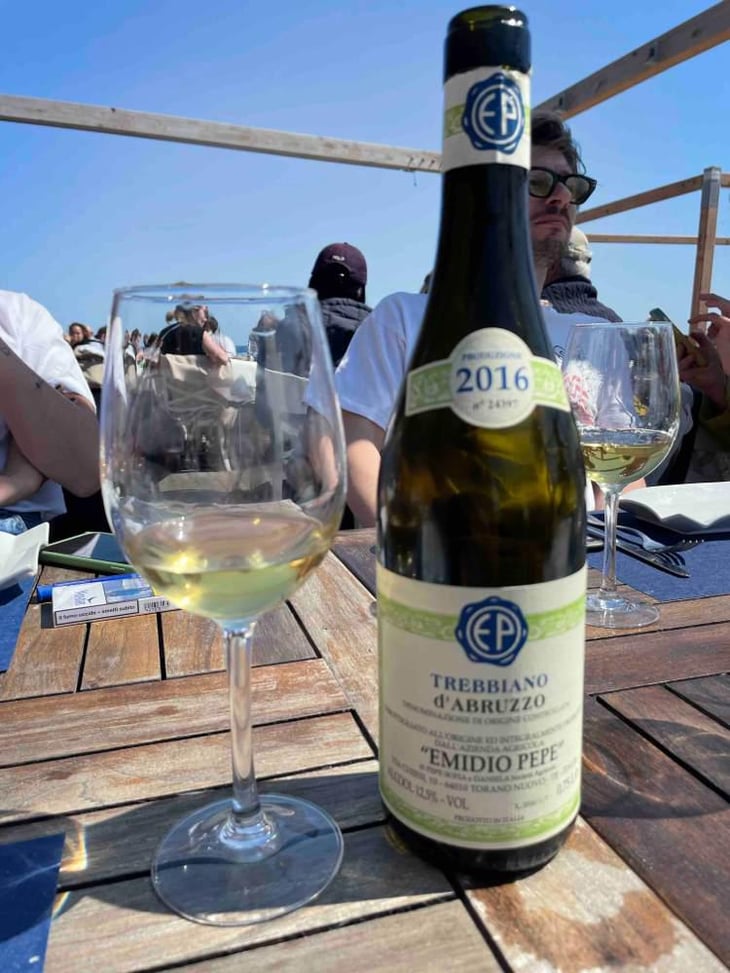 Trebbiano d’Abruzzo - Az. Agr. Emidio Pepe - Daniela & Sofia Pepe 