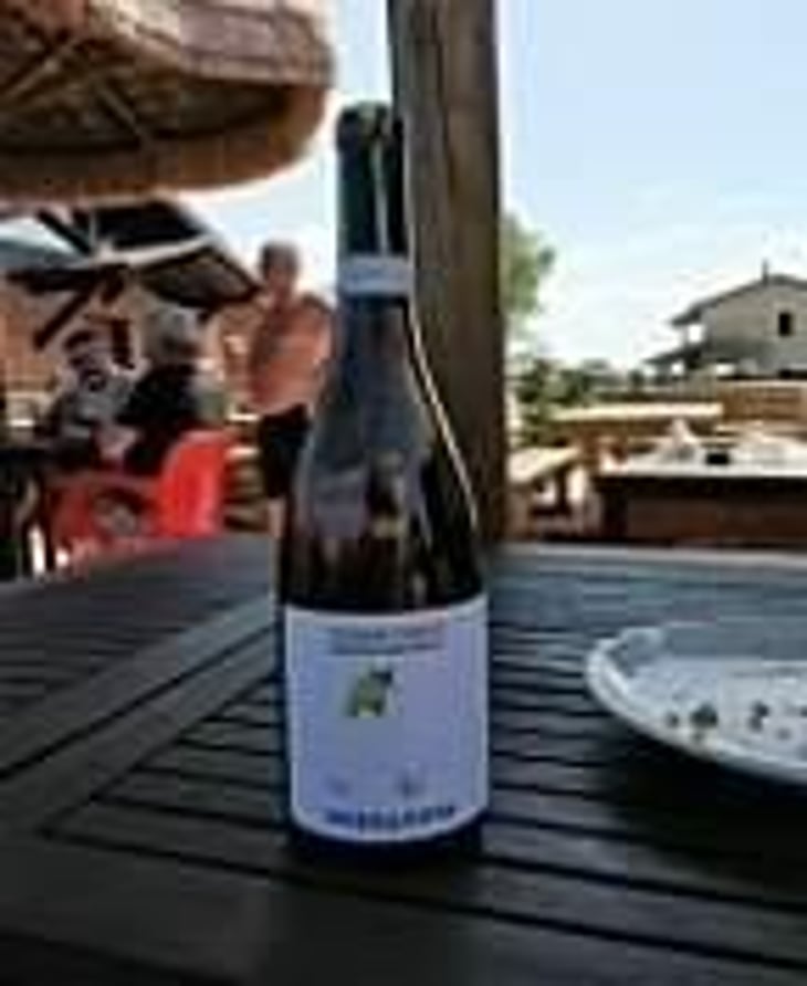 Trebbiano D’abruzzo - Società Agricola BossaNova - Andrea Quaglia e Nat Colantonio 