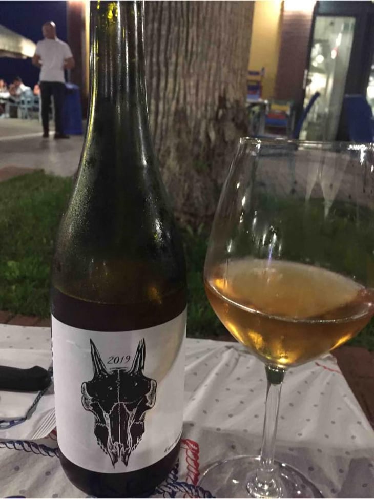 Trebbiano D’Abruzzo - Podere San Biagio - Jacopo Fiore -2019