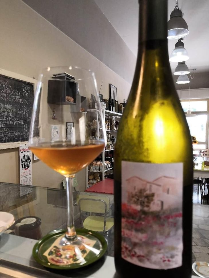 Trebbiano - Podere Pian Di Meta Vecchia - Elena Dainese 