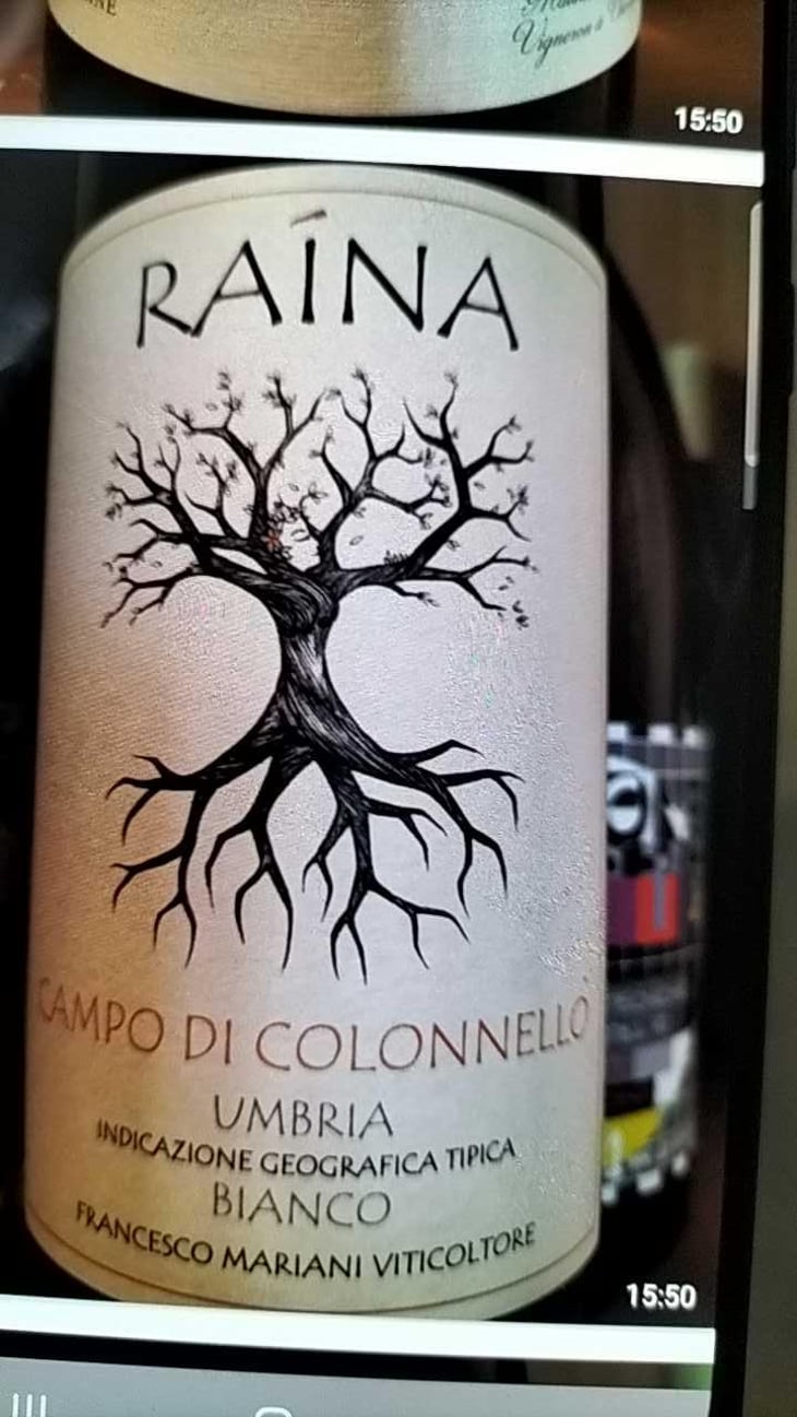 Trebbiano Spoletino - Raína - Francesco Mariani 