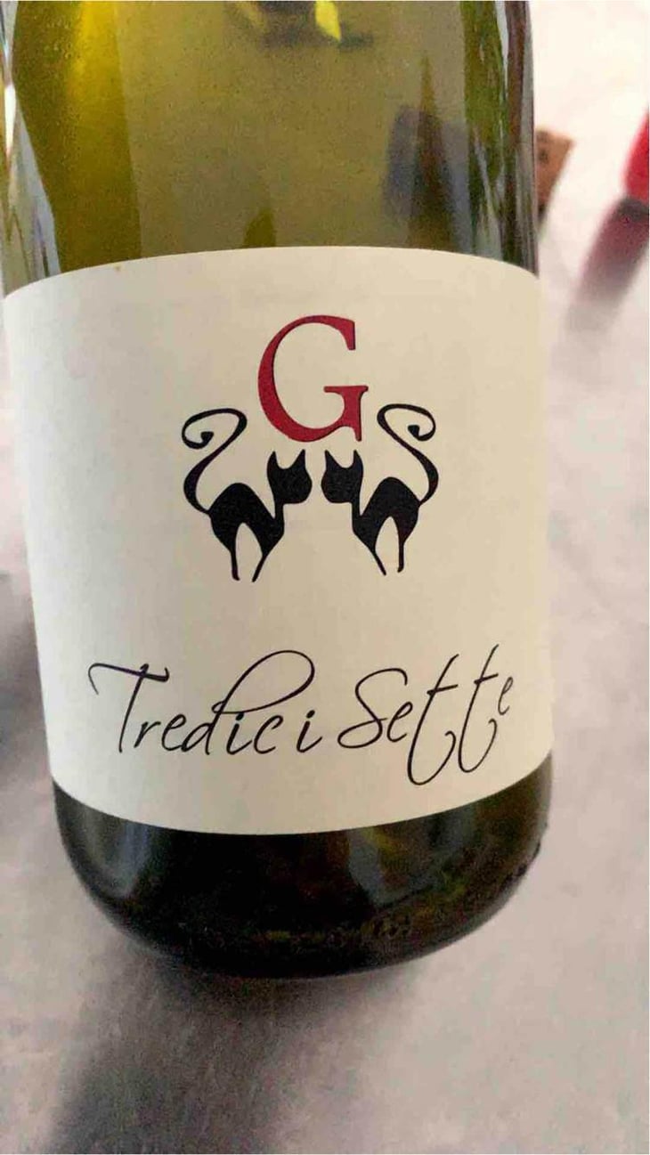 Tredici Sette - Azienda Agricola Gatti - Carolina Gatti 