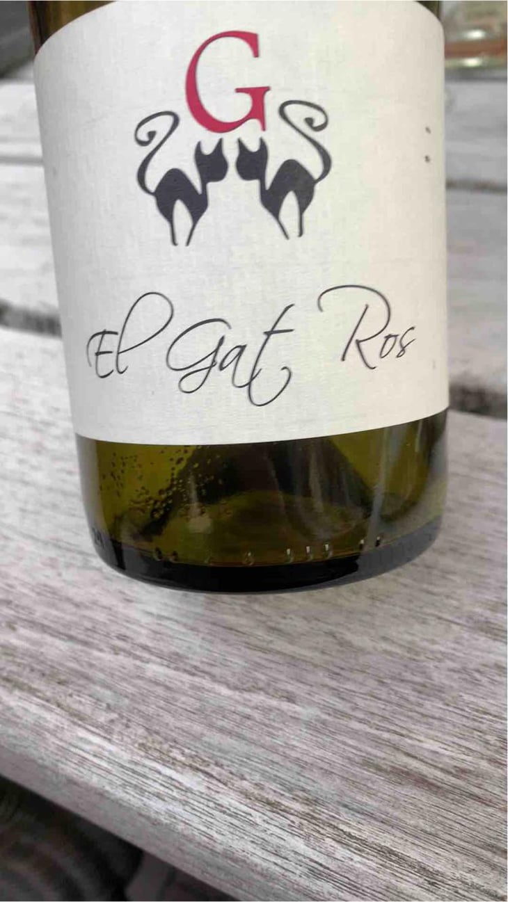 Tredici Sette - Azienda Agricola Gatti - Carolina Gatti 