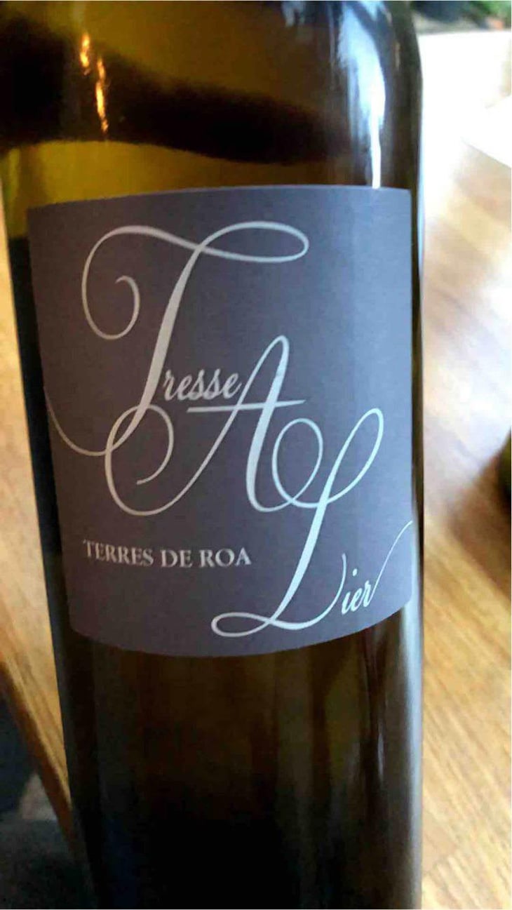 Tresse A Lier - Vignoble des Vernusses - Loren PETIT -2023