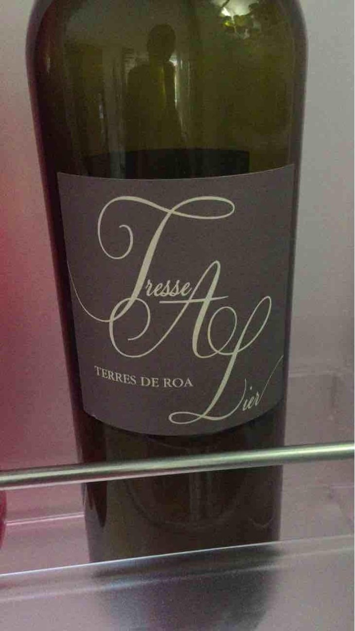Tresse A Lier - Vignoble des Vernusses - Loren PETIT -2023