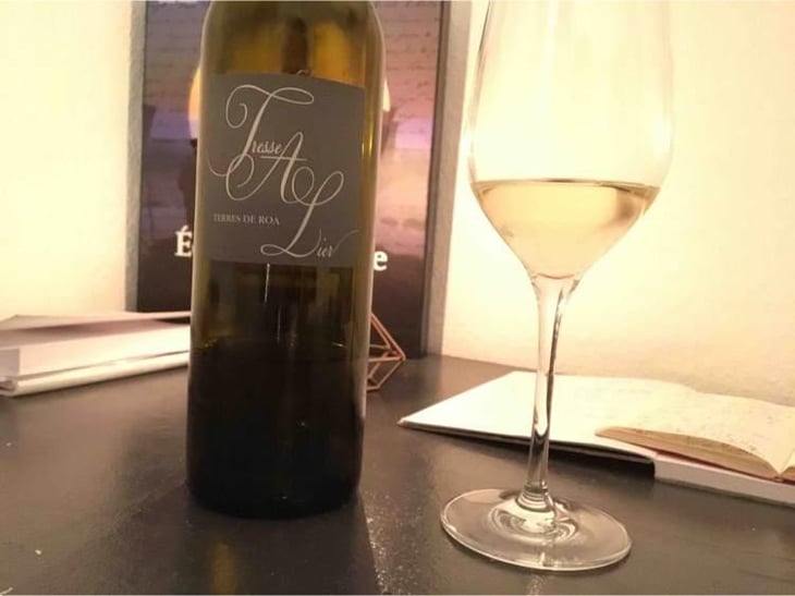 Tresse A Lier - Vignoble des Vernusses - Loren PETIT -2023