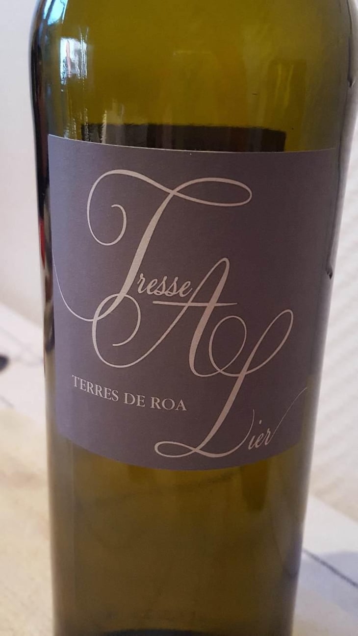 Tresse A Lier - Vignoble des Vernusses - Loren PETIT -2023