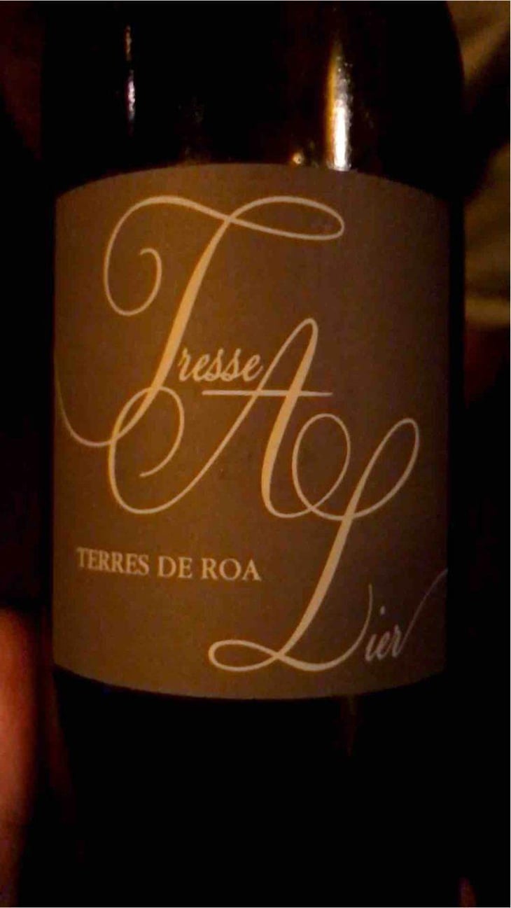 Tresse A Lier - Vignoble des Vernusses - Loren PETIT -2023