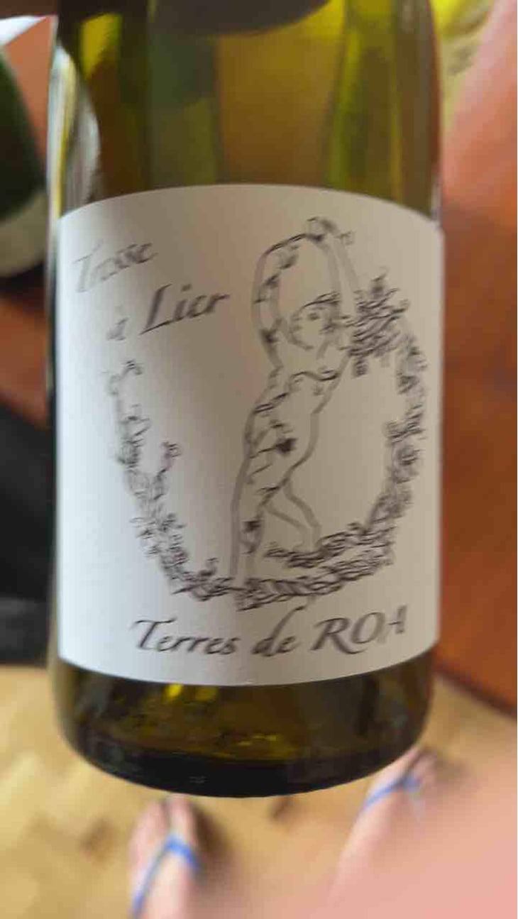 Tresse A Lier - Vignoble des Vernusses - Loren PETIT -2023
