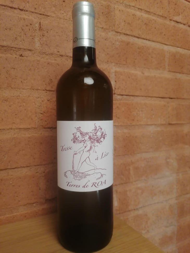 Tresse A Lier - Vignoble des Vernusses - Loren PETIT -2023