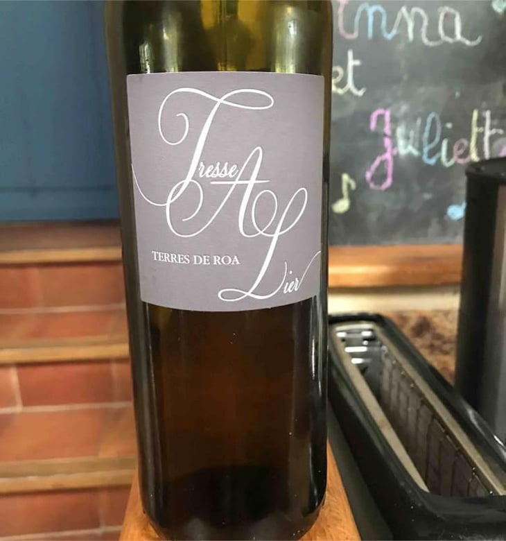 Tresse A Lier - Vignoble des Vernusses - Loren PETIT -2023