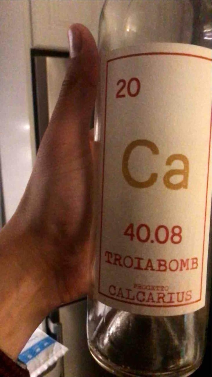 Calcarius Troiabomb - Valentina Passalacqua - Valentina Passalacqua 