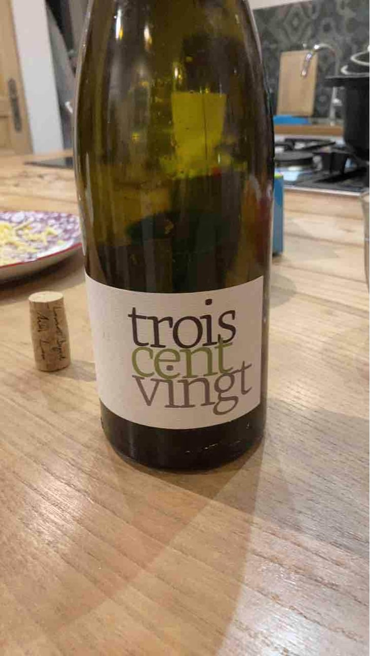 Trois Cent Vingt (blanc) - Romain Pion - Romain Pion 