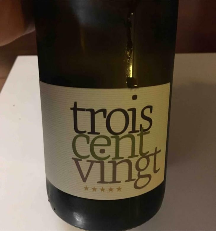 Trois Cent Vingt (blanc) - Romain Pion - Romain Pion 