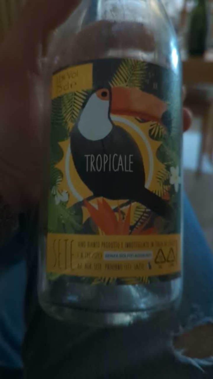 Tropicale - Sete - Vini Naturali - Emiliano Giorgi, Arcangelo Galuppi, Martina D’Alessio 