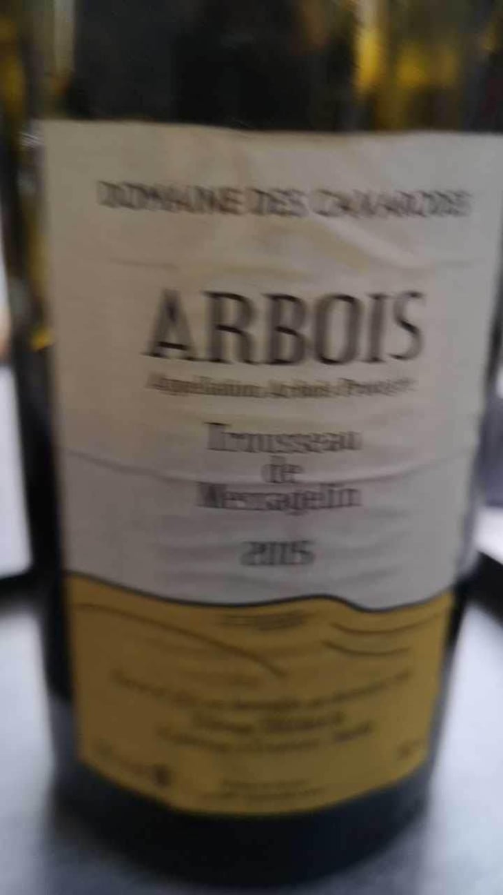 Trousseau de Messagelin - Domaine des Cavarodes - Etienne Thiebaud 