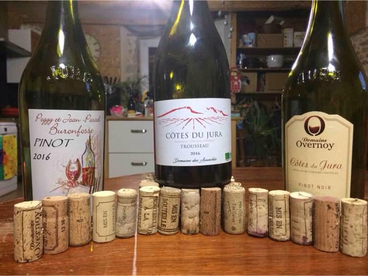 Trousseau - Domaine des Avanchés - Laurent Bert 