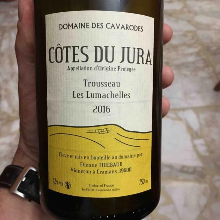 Trousseau Les Lumachelles - Domaine des Cavarodes - Etienne Thiebaud 