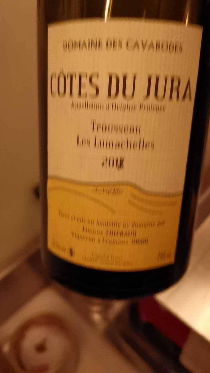 Trousseau Les Lumachelles - Domaine des Cavarodes - Etienne Thiebaud 