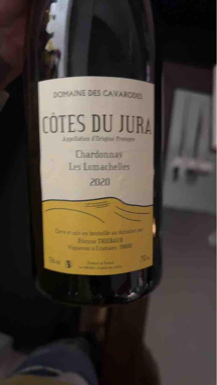 Trousseau Les Lumachelles - Domaine des Cavarodes - Etienne Thiebaud 
