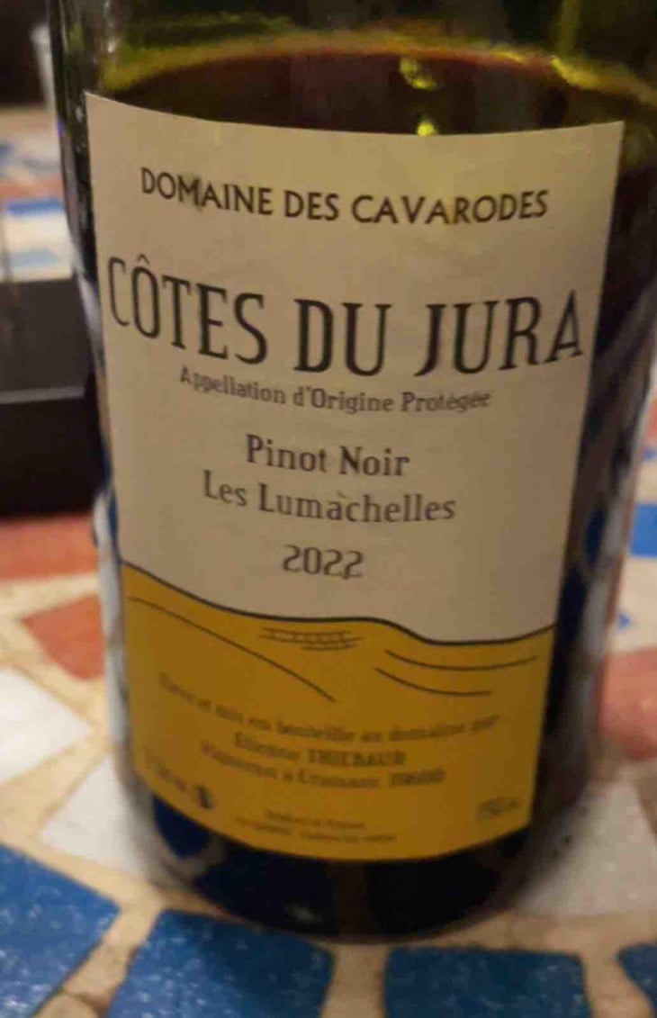 Trousseau Les Lumachelles - Domaine des Cavarodes - Etienne Thiebaud 