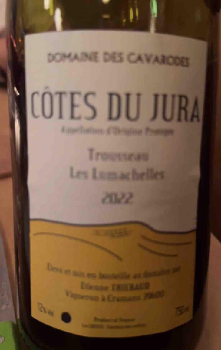 Trousseau Les Lumachelles - Domaine des Cavarodes - Etienne Thiebaud 