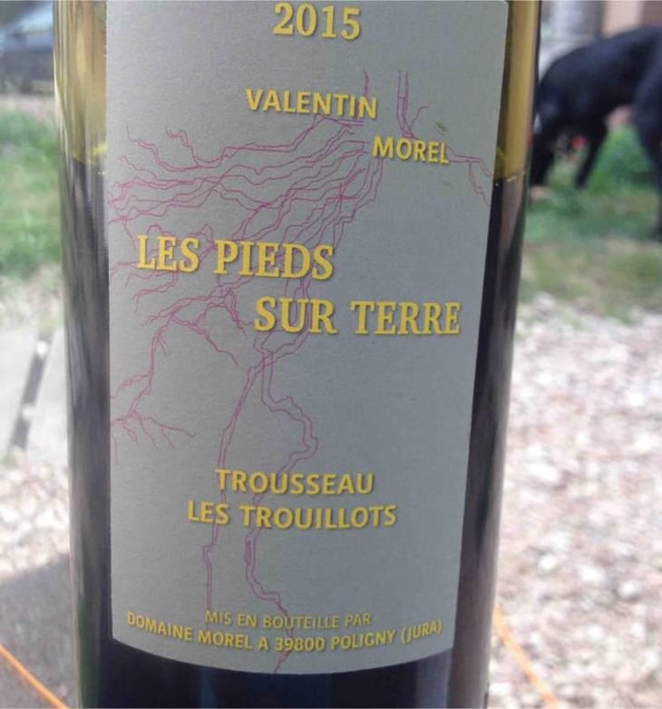 Trousseau Les Trouillots - Les Pieds Sur Terre - Valentin Morel 