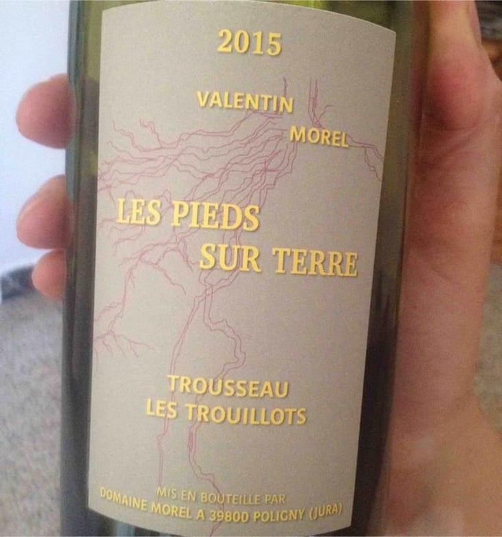 Trousseau Les Trouillots - Les Pieds Sur Terre - Valentin Morel 