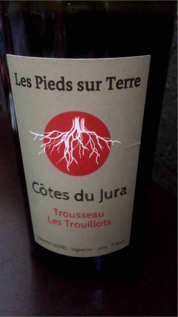 Trousseau Les Trouillots - Les Pieds Sur Terre - Valentin Morel 