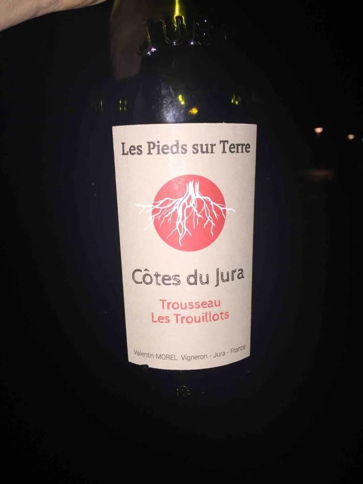 Trousseau Les Trouillots - Les Pieds Sur Terre - Valentin Morel 