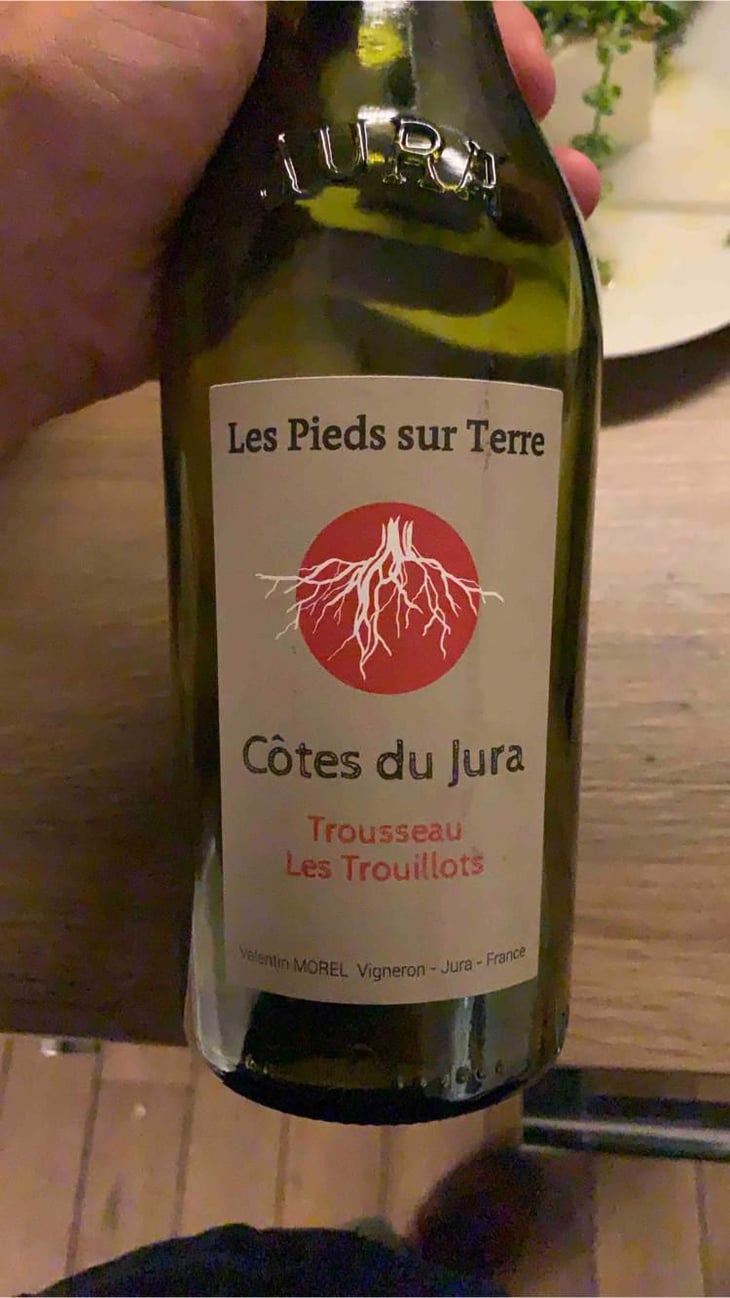 Trousseau Les Trouillots - Les Pieds Sur Terre - Valentin Morel 