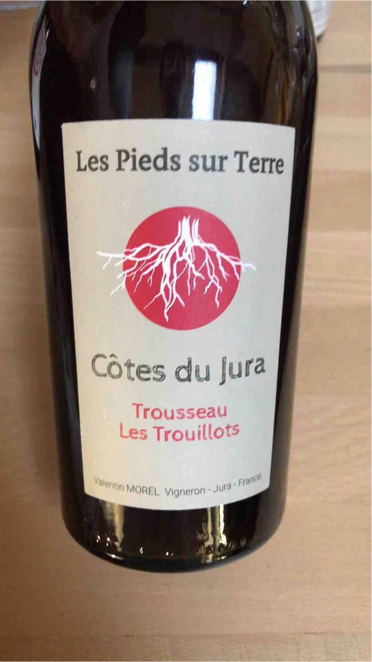 Trousseau Les Trouillots - Les Pieds Sur Terre - Valentin Morel 
