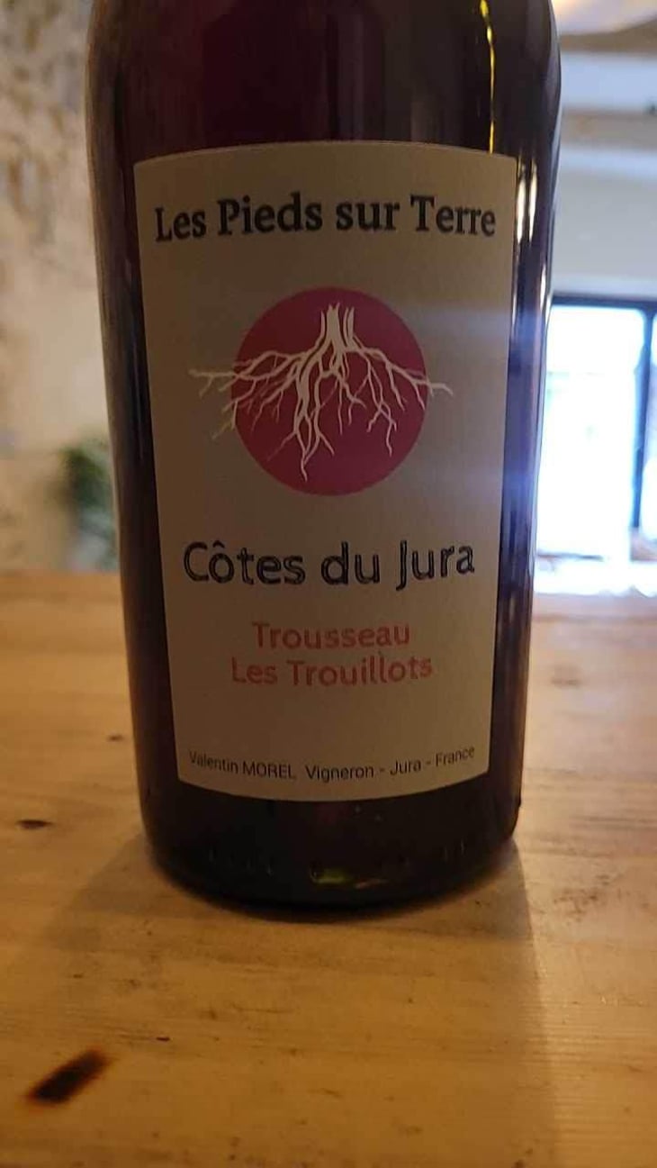 Trousseau Les Trouillots - Les Pieds Sur Terre - Valentin Morel 