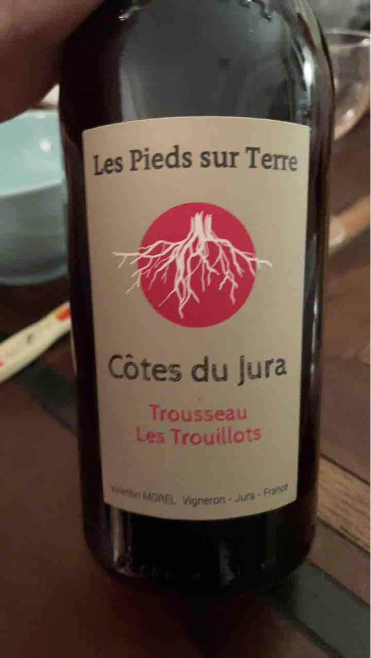 Trousseau Les Trouillots - Les Pieds Sur Terre - Valentin Morel 
