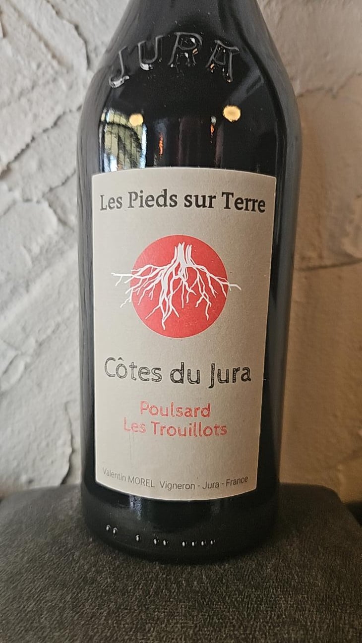 Trousseau Les Trouillots (new label) - Les Pieds Sur Terre - Valentin Morel -2022