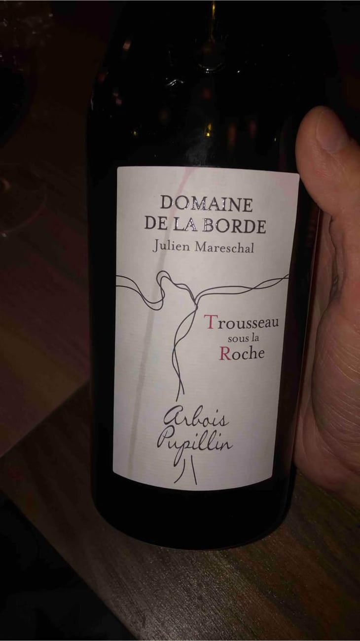 Trousseau Sous La Roche - Domaine de la Borde - Julien Mareschal 