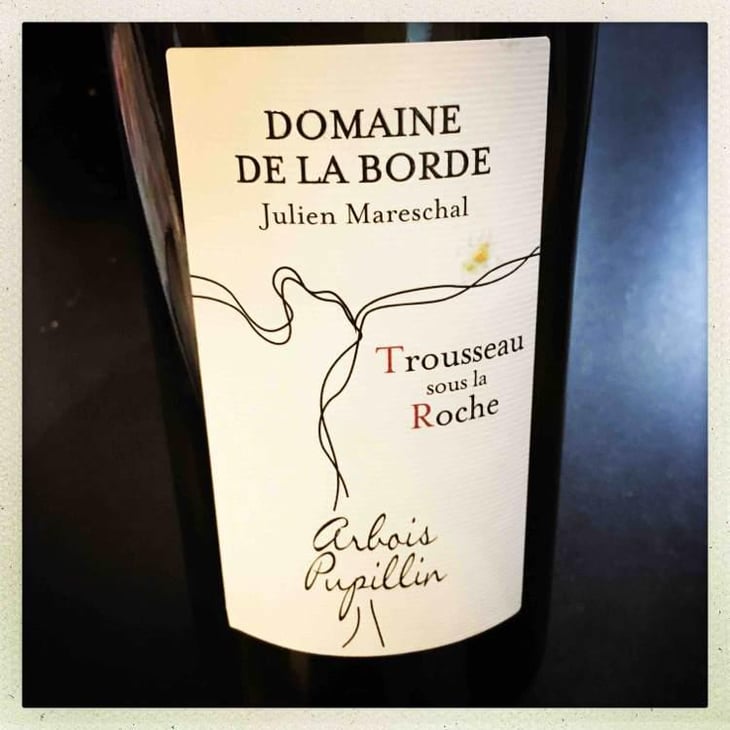 Trousseau Sous La Roche - Domaine de la Borde - Julien Mareschal 
