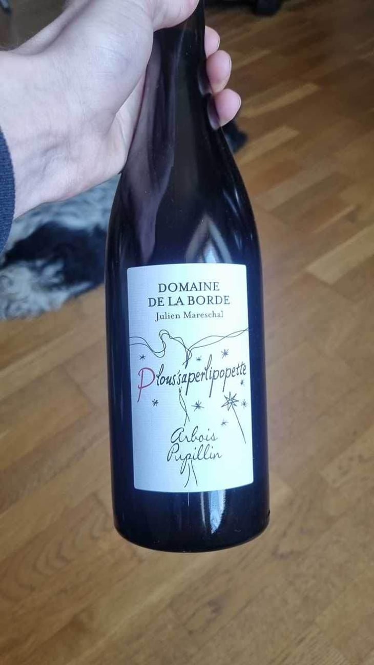 Trousseau Sous La Roche - Domaine de la Borde - Julien Mareschal 
