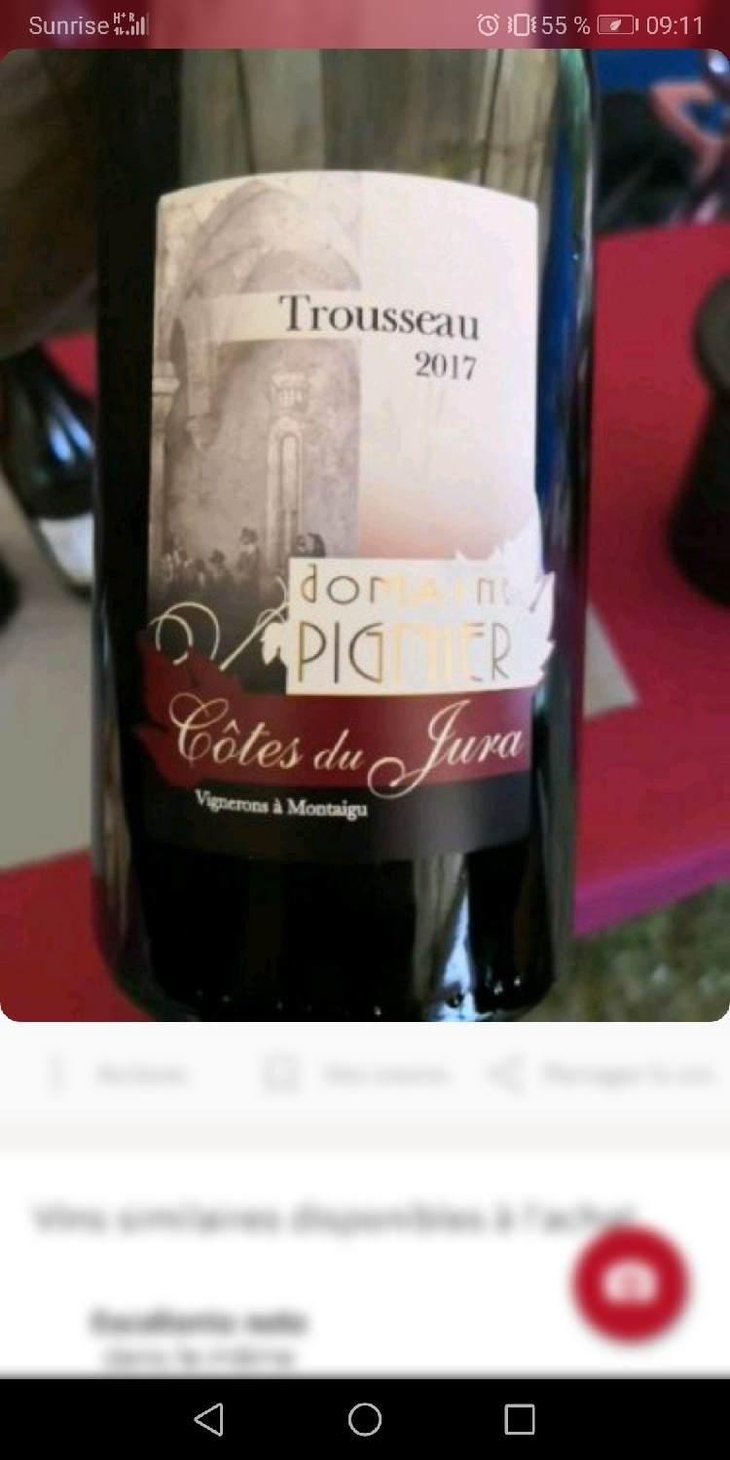Trousseau - Domaine Pignier - Marie Florence, Antoine & Jean-Etienne Pignier 