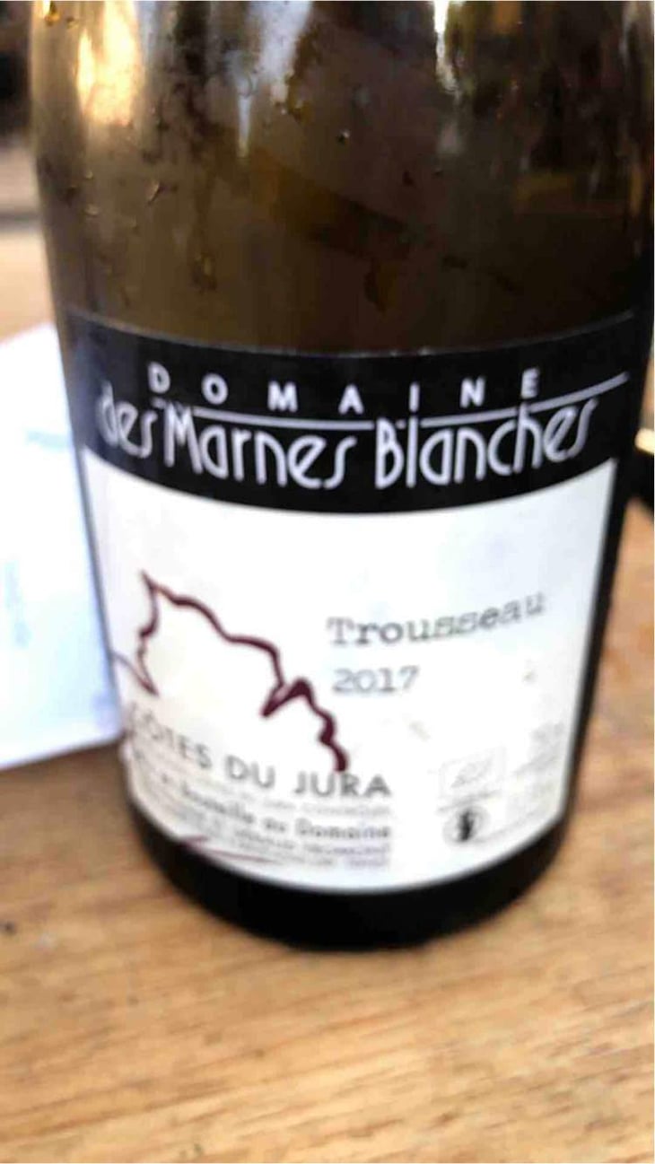 Trousseau - Domaine Des Marnes Blanches - Pauline & Géraud Fromont 