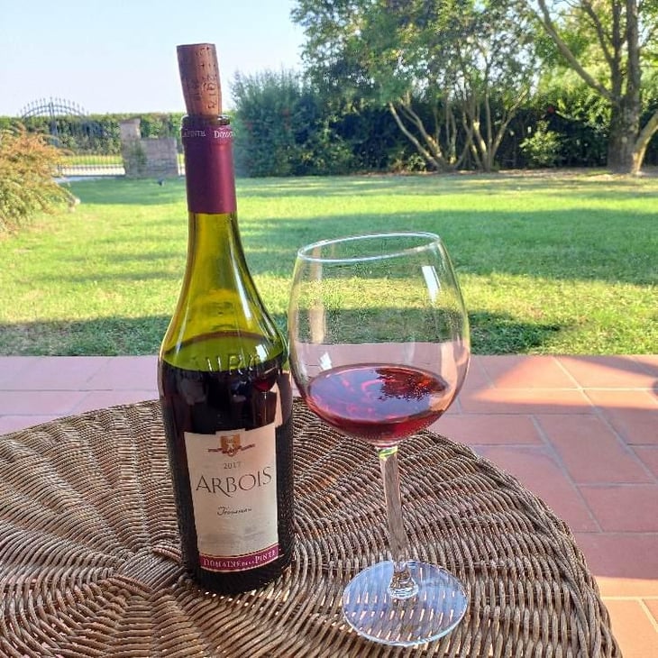 Trousseau - Domaine de la Pinte - Pierre Martin 