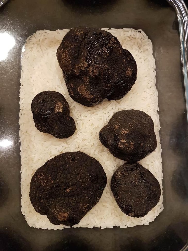 Truffes Noirs Du Périgord - Aymé Vadim - 510482