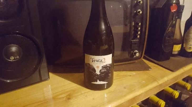 Tenta 2 - MicroBioWines - Ismael Gozalo 