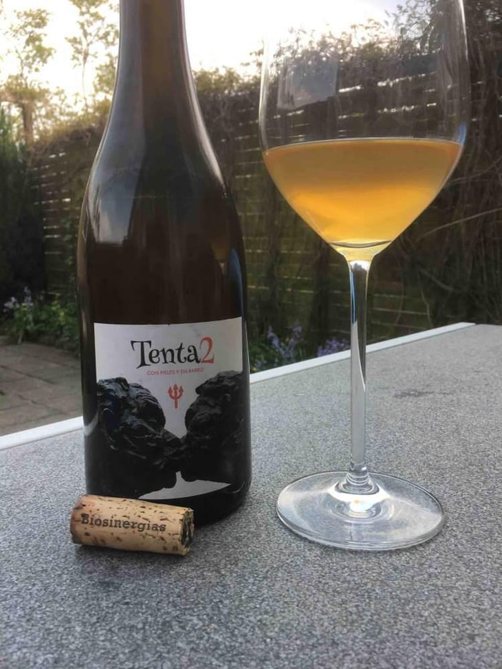 Tenta 2 - MicroBioWines - Ismael Gozalo 
