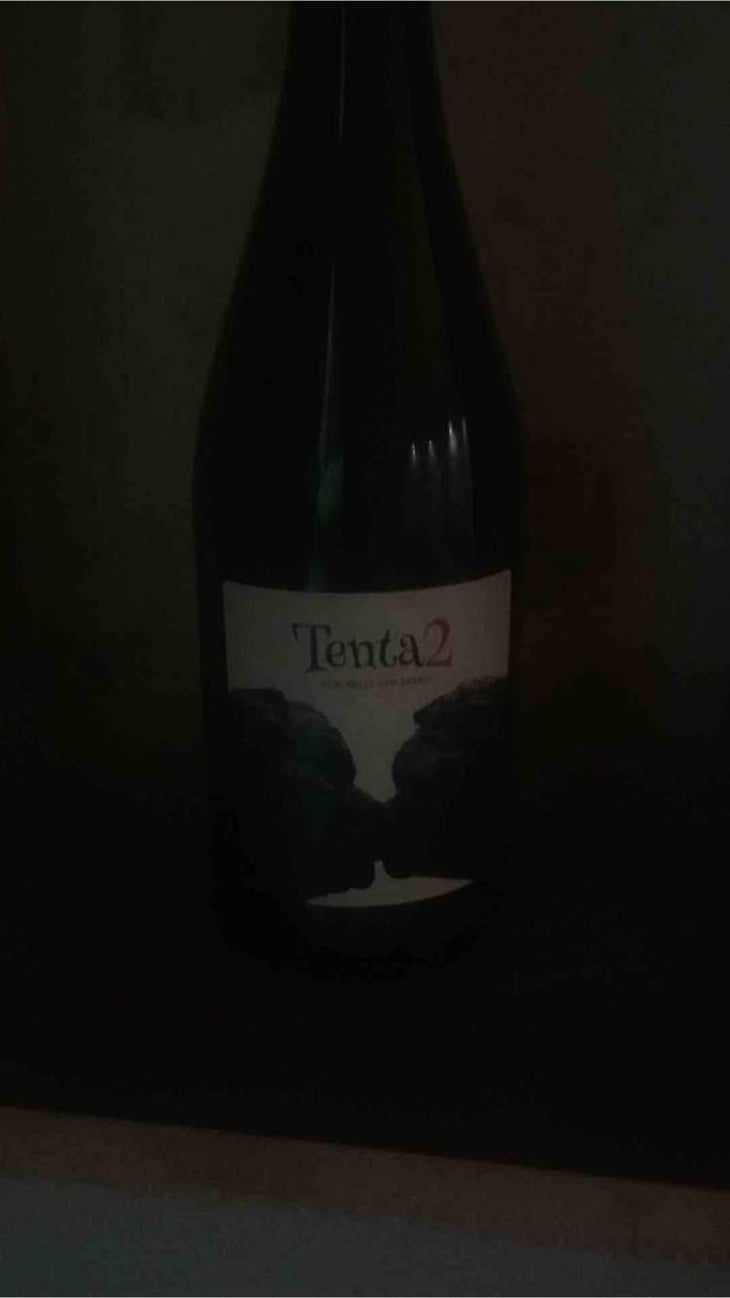 Tenta 2 - MicroBioWines - Ismael Gozalo 