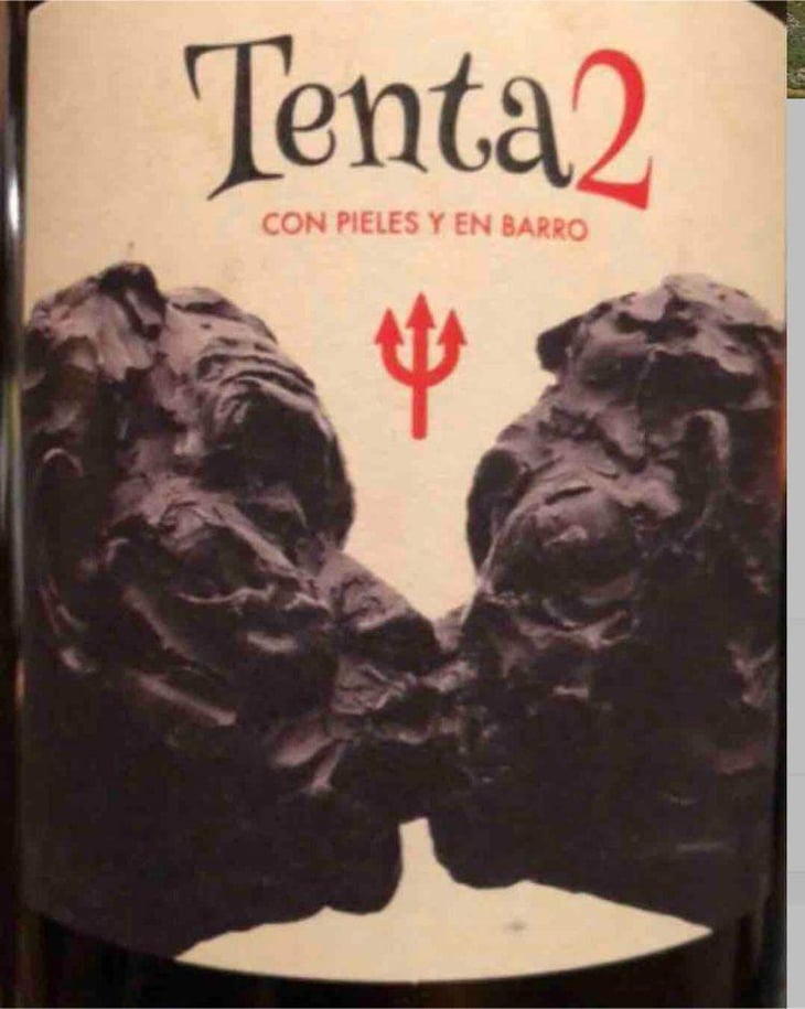 Tenta 2 - MicroBioWines - Ismael Gozalo 