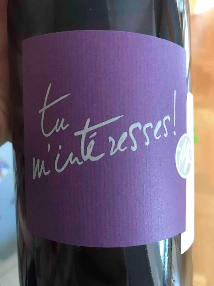 Tu m'Intéresses! - Le Mas de Mon Père - Frédéric Palacios 