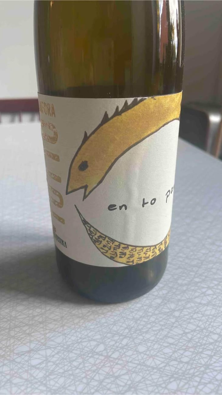 Tutto Anfora Bianco - La Ginestra - Dario Nocci, Alessandro Bicchi & Matteo Rinaldi 